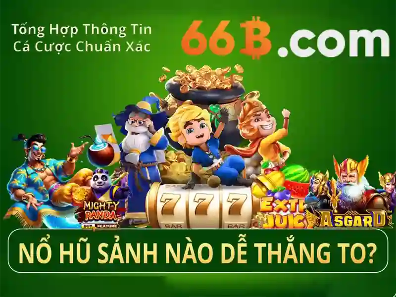 66b bus route – kết nối thành phố và trải nghiệm