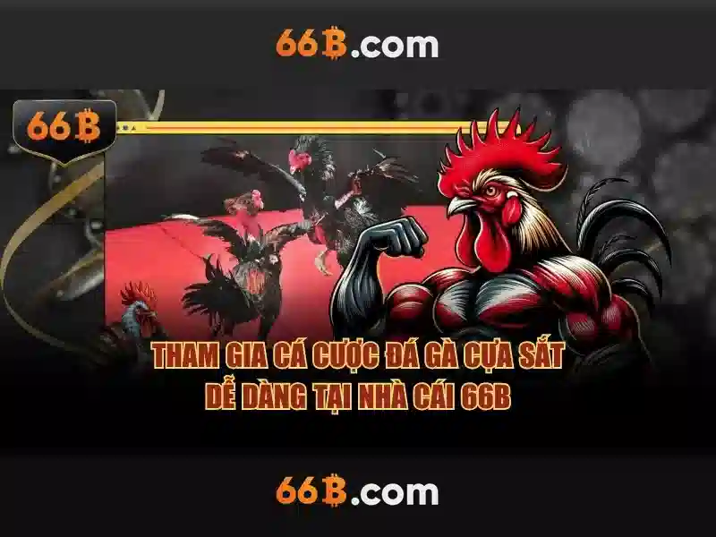 66B là gì? Khái niệm và ứng dụng