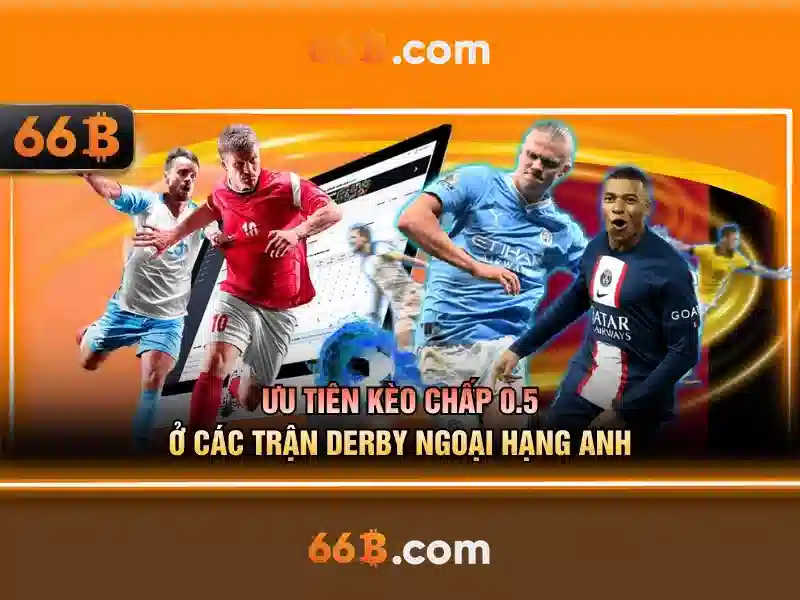 66b hoạt động bao lâu: hành trình trải nghiệm và giá trị thương hiệu