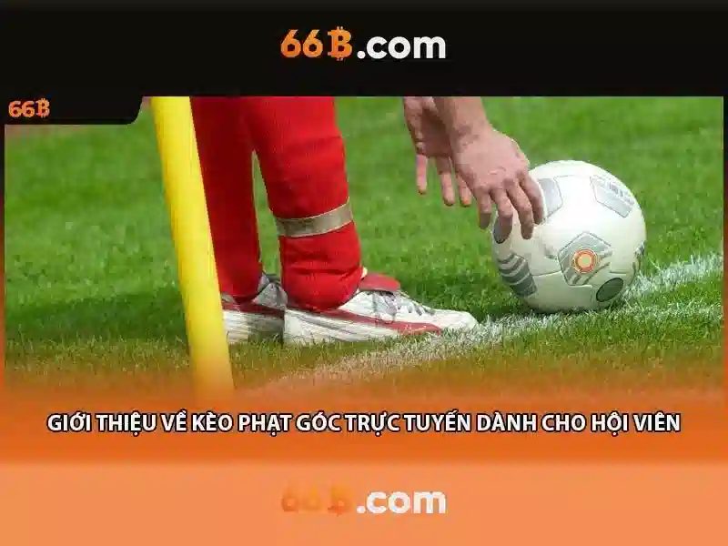 art 66b: Khởi nguồn và hành trình sáng tạo thương hiệu