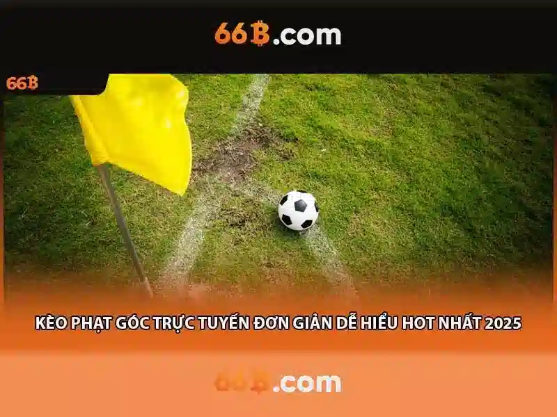 66B: Khái niệm về mô hình 66 tỷ tham số