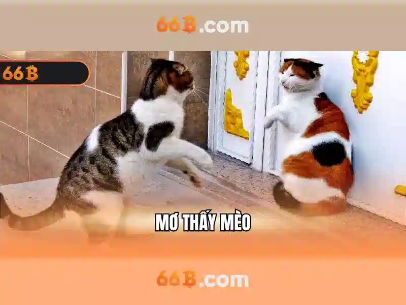 cờ vua 66b – Hành trình chiến thuật và tiềm năng toàn cầu