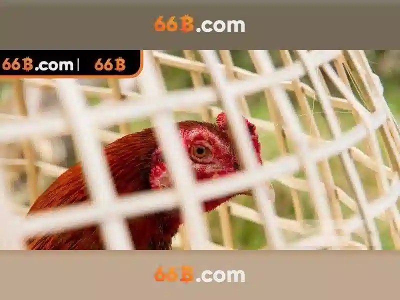66b: Khái niệm và tiềm năng của mô hình ngôn ngữ 66b
