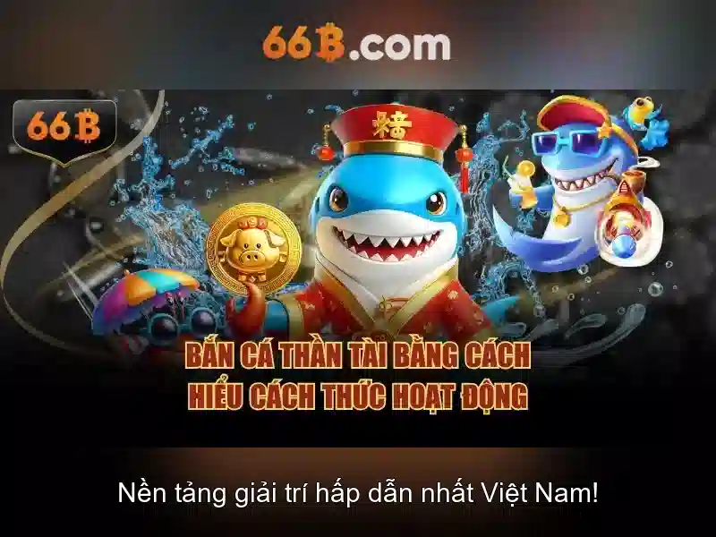 Về 66B: một cái nhìn tổng quan