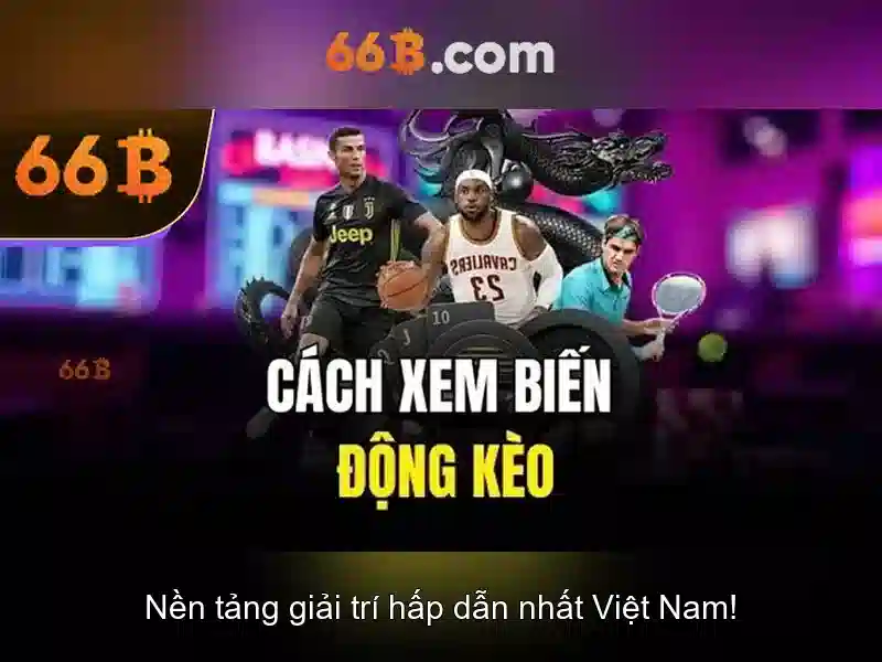 66b: Khái niệm và đặc điểm