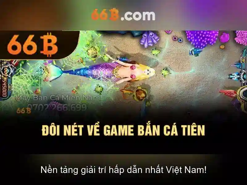 66B: Đặc điểm, tiềm năng và thách thức