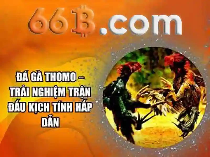66b: một khái niệm công nghệ và cộng đồng