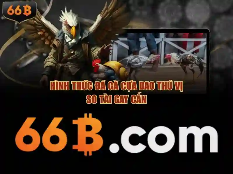 66b: một ký hiệu số và hành trình của nó