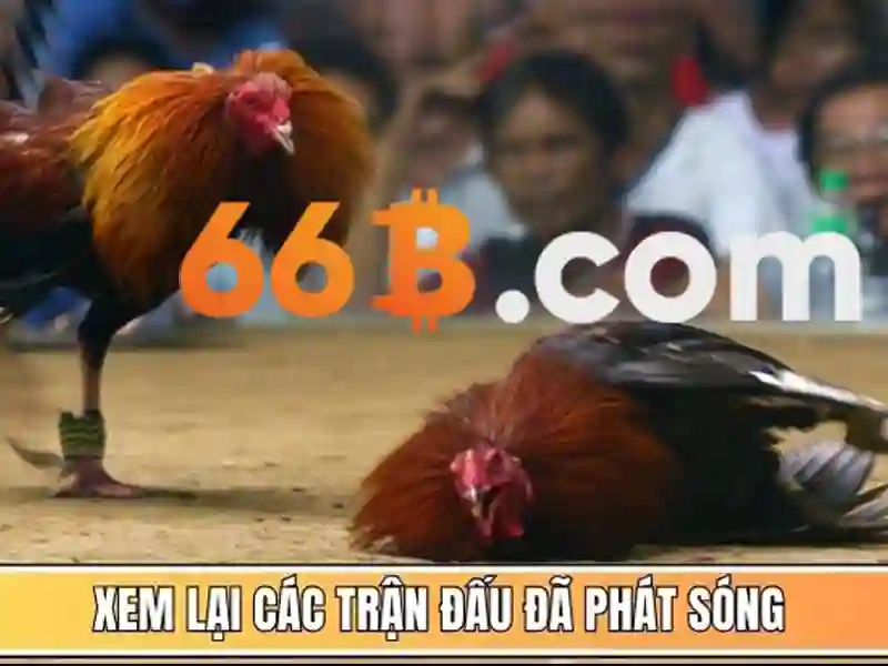 Biểu tượng bảo mật an toàn thông tin khi cá cược trực tuyến