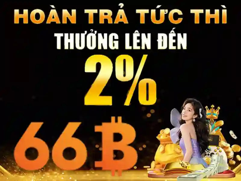 66b nss – Tổng quan, sản phẩm và tầm nhìn đổi mới