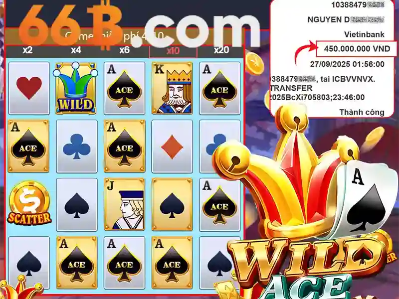 66b và những điều cơ bản
